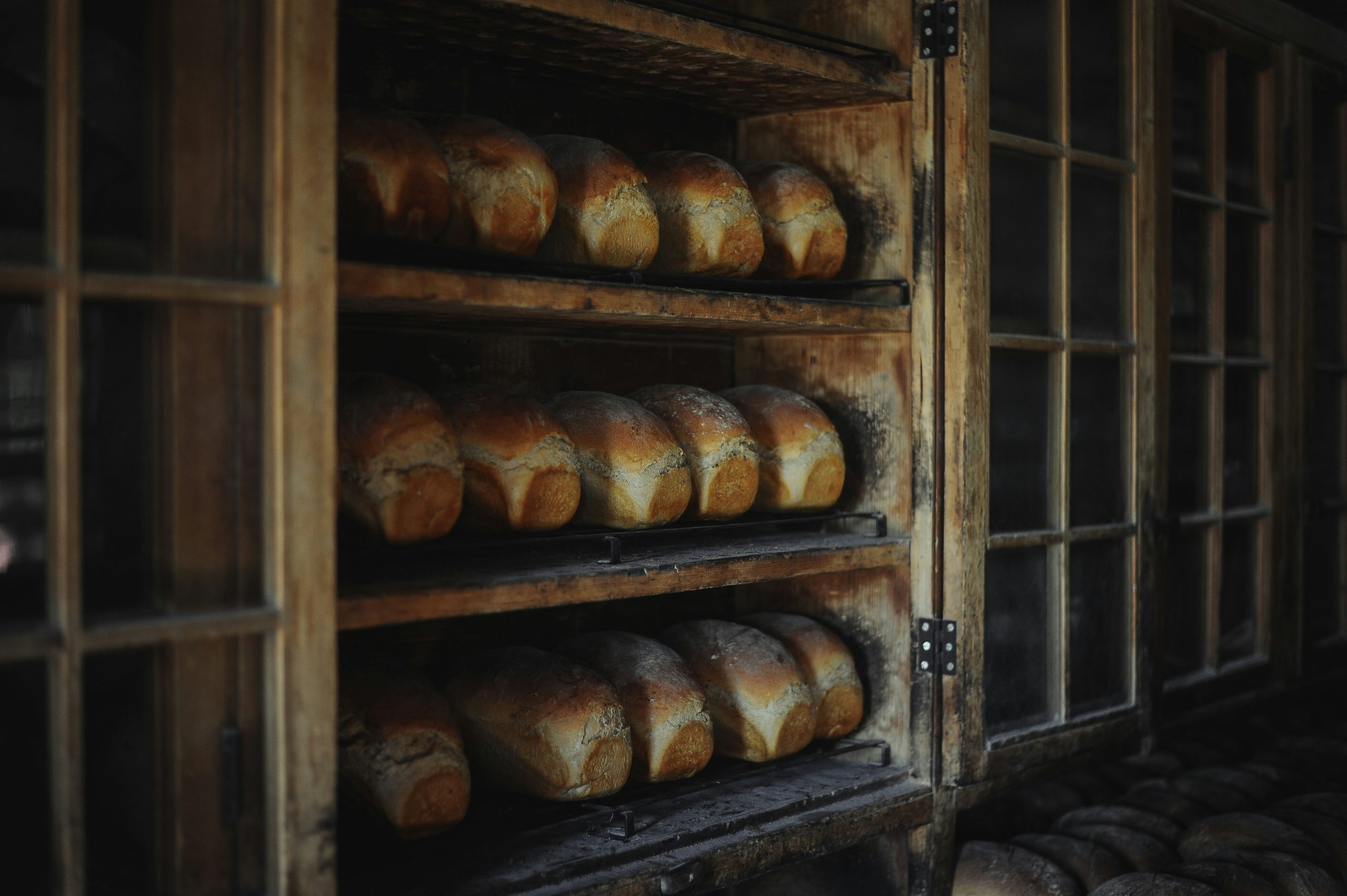 Photo by Clark Young on Unsplash